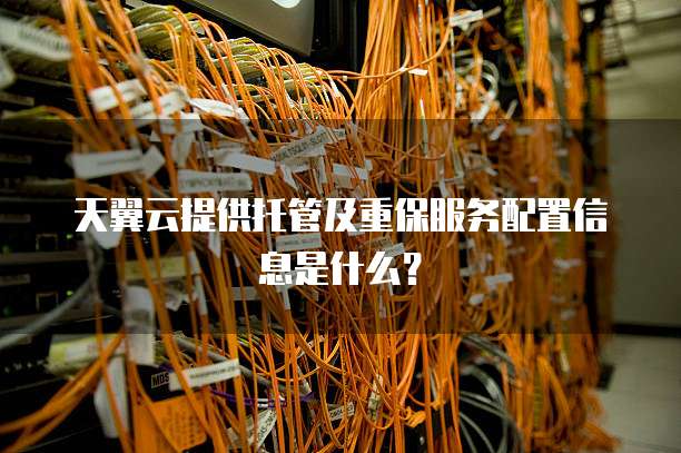 天翼云提供托管及重保服务配置信息是什么?