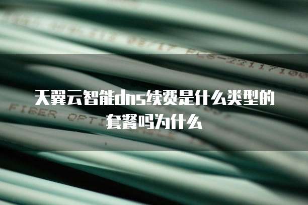 天翼云智能dns续费是什么类型的套餐吗为什么