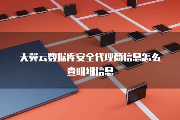天翼云数据库安全代理商信息怎么查明细信息