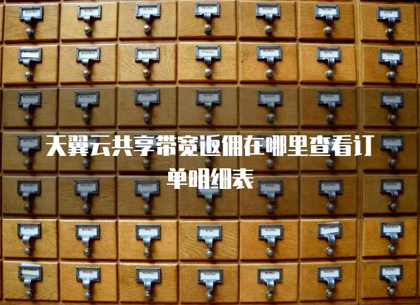 天翼云共享带宽返佣在哪里查看订单明细表
