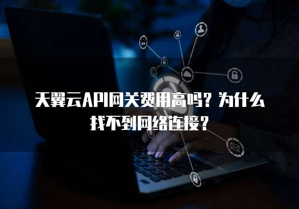 天翼云API网关费用高吗?为什么找不到网络连接?