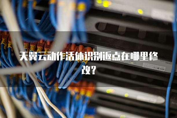 天翼云动作活体识别返点在哪里修改?
