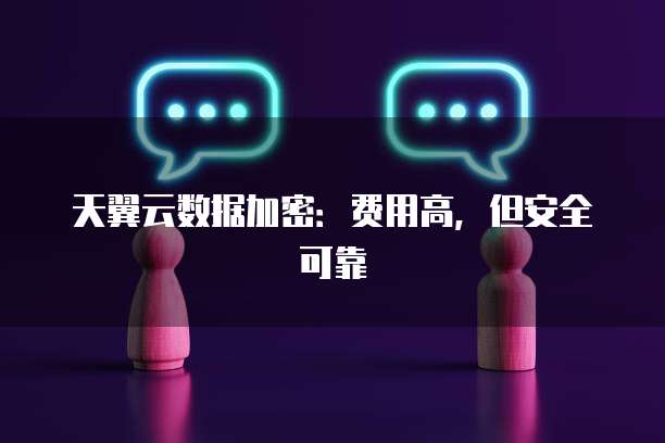 天翼云数据加密:费用高,但安全可靠