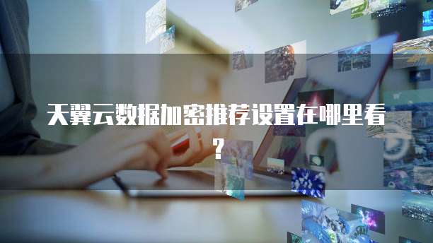 天翼云数据加密推荐设置在哪里看?