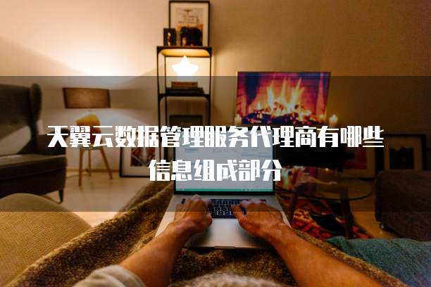天翼云数据管理服务代理商有哪些信息组成部分
