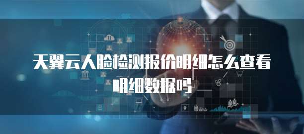 天翼云人脸检测报价明细怎么查看明细数据吗
