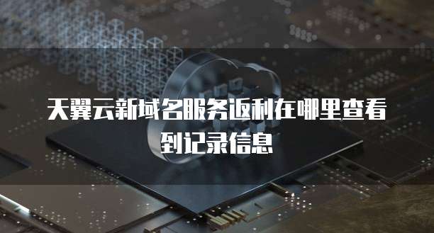 天翼云新域名服务返利在哪里查看到记录信息