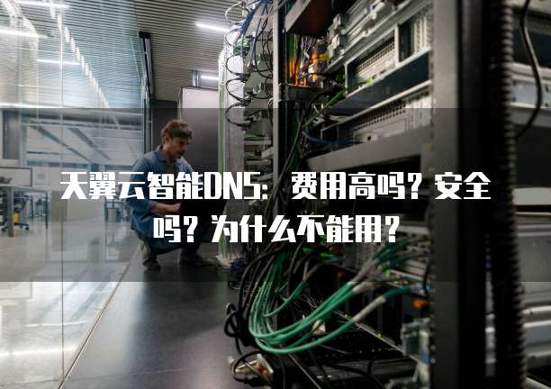 天翼云智能DNS:费用高吗?安全吗?为什么不能用?