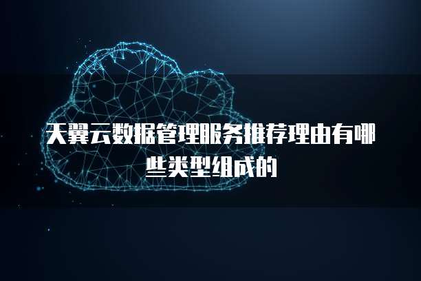 天翼云数据管理服务推荐理由有哪些类型组成的