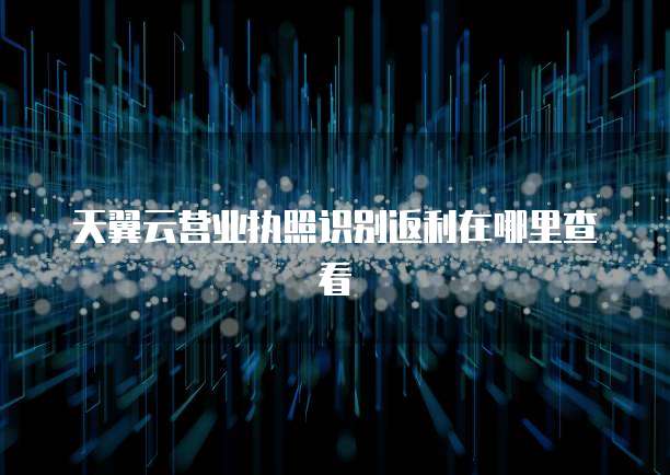 天翼云营业执照识别返利在哪里查看