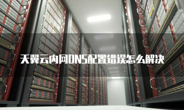 天翼云内网DNS配置错误怎么解决