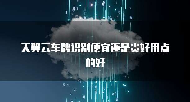 天翼云车牌识别便宜还是贵好用点的好