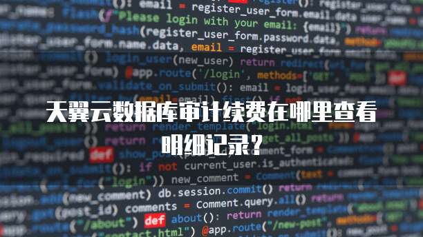 天翼云数据库审计续费在哪里查看明细记录?