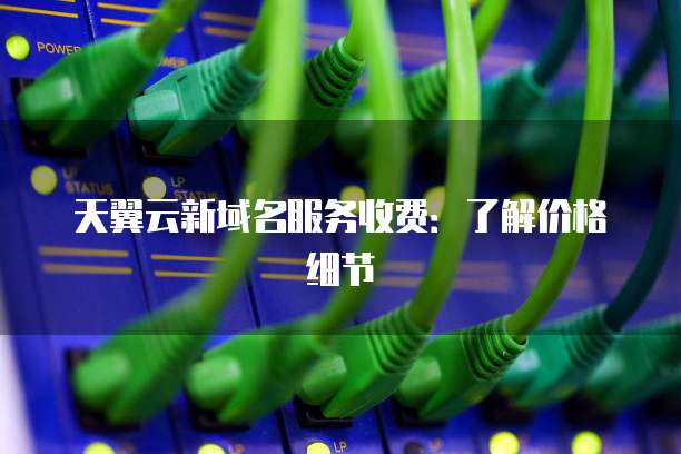 天翼云新域名服务收费：了解价格细节