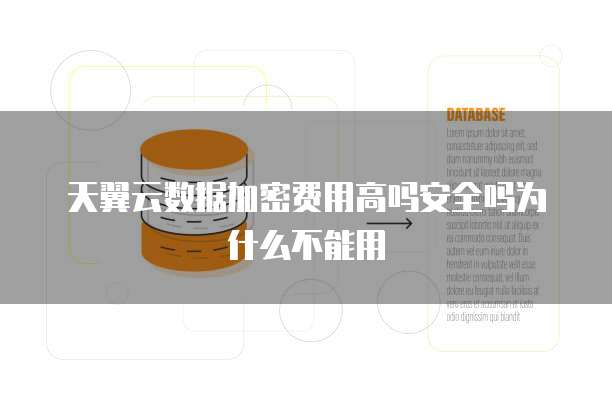 天翼云数据加密费用高吗安全吗为什么不能用