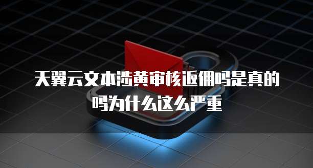 天翼云文本涉黄审核返佣吗是真的吗为什么这么严重