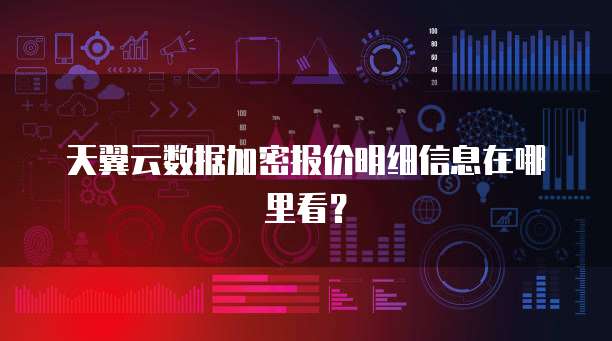 天翼云数据加密报价明细信息在哪里看？
