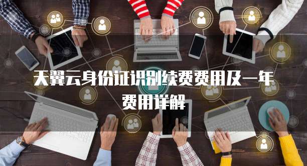 天翼云身份证识别续费费用及一年费用详解