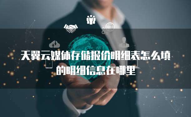 天翼云媒体存储报价明细表怎么填的明细信息在哪里