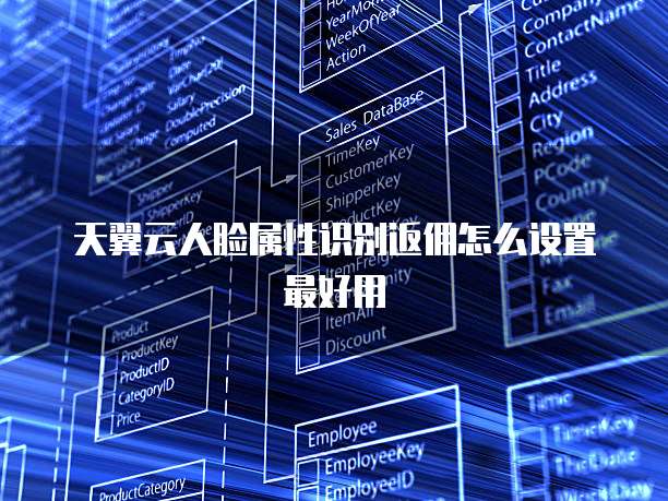 天翼云人脸属性识别返佣怎么设置最好用