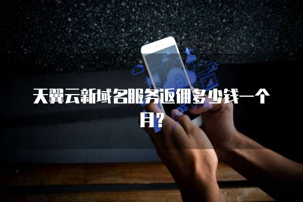 天翼云新域名服务返佣多少钱一个月?