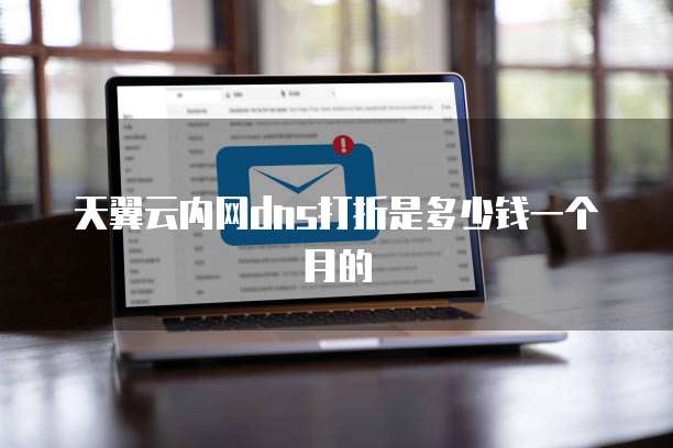 天翼云内网dns打折是多少钱一个月的