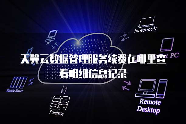 天翼云数据管理服务续费在哪里查看明细信息记录