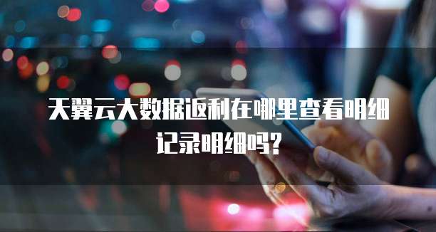天翼云大数据返利在哪里查看明细记录明细吗?
