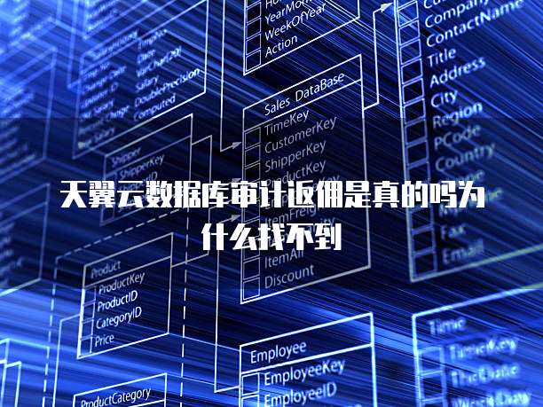 天翼云数据库审计返佣是真的吗为什么找不到