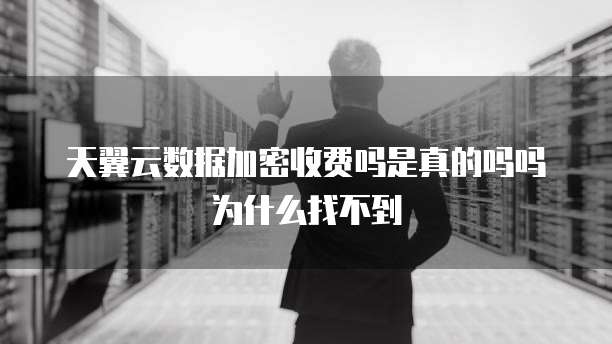 天翼云数据加密收费吗是真的吗吗为什么找不到