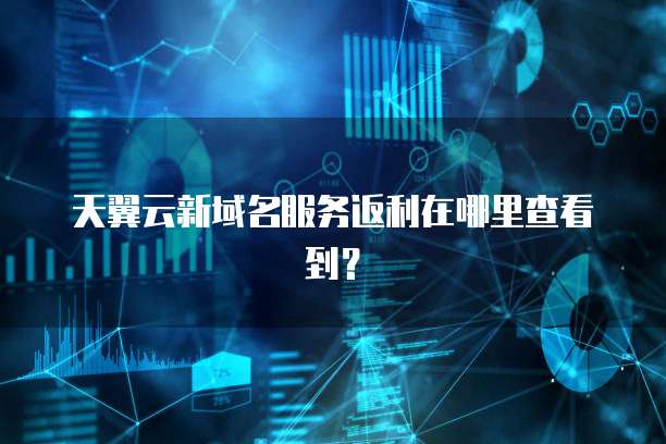天翼云新域名服务返利在哪里查看到?