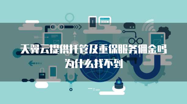 天翼云提供托管及重保服务佣金吗为什么找不到