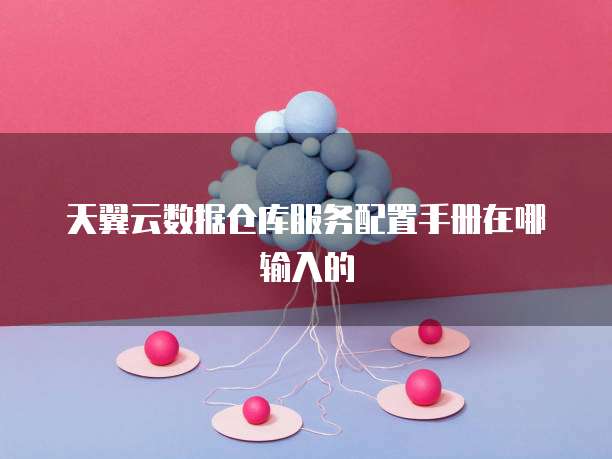 天翼云数据仓库服务配置手册在哪输入的