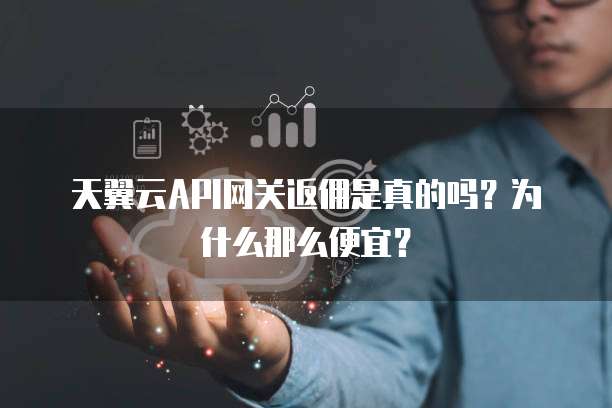 天翼云API网关返佣是真的吗?为什么那么便宜?