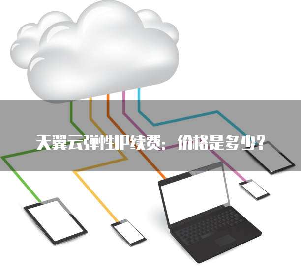 天翼云弹性IP续费:价格是多少?