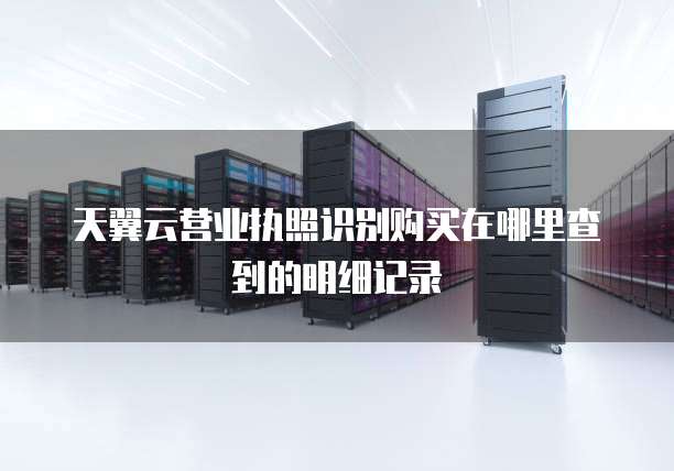 天翼云营业执照识别购买在哪里查到的明细记录