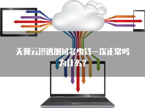 天翼云渗透测试多少钱一次正常吗为什么?