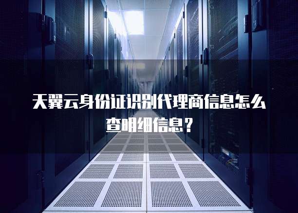 天翼云身份证识别代理商信息怎么查明细信息?