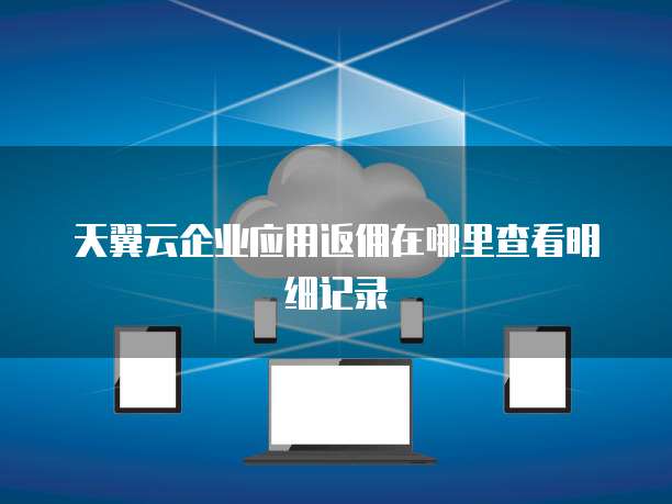 天翼云企业应用返佣在哪里查看明细记录