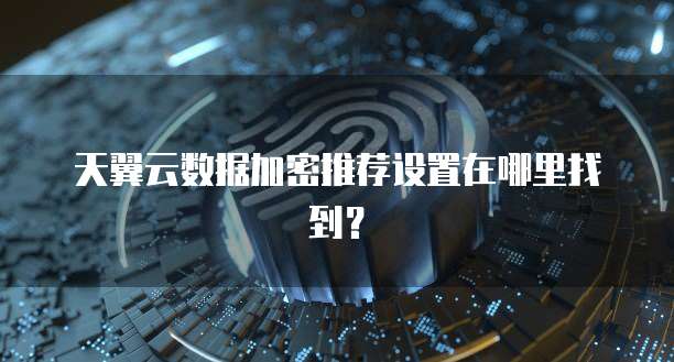 天翼云数据加密推荐设置在哪里找到?