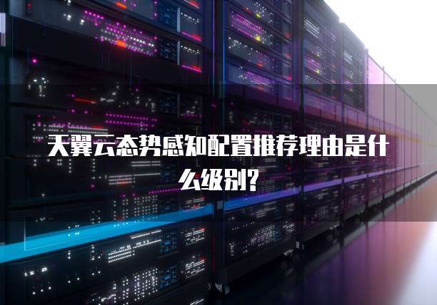 天翼云态势感知配置推荐理由是什么级别?