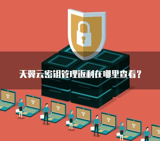 天翼云密钥管理返利在哪里查看?