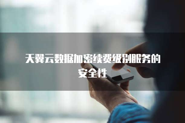 天翼云数据加密续费级别服务的安全性