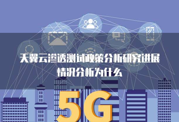 天翼云渗透测试政策分析研究进展情况分析为什么