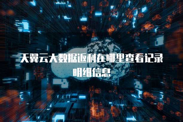 天翼云大数据返利在哪里查看记录明细信息