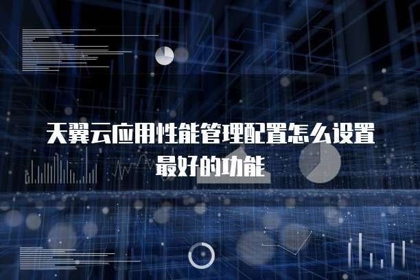 天翼云应用性能管理配置怎么设置最好的功能