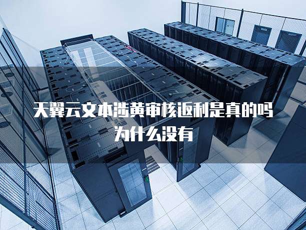 天翼云文本涉黄审核返利是真的吗为什么没有