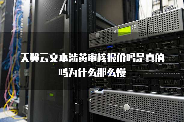 天翼云文本涉黄审核报价吗是真的吗为什么那么慢