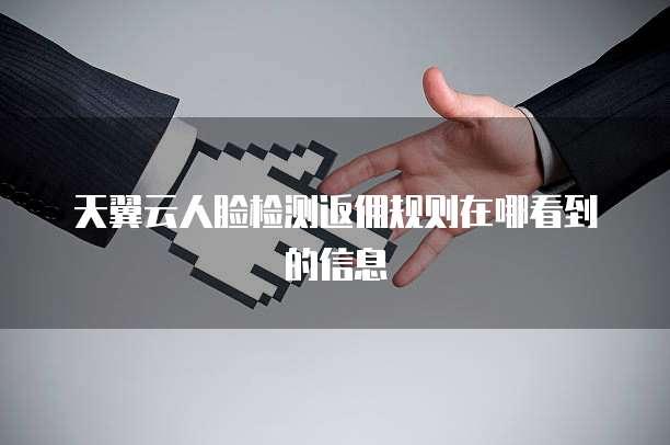 天翼云人脸检测返佣规则在哪看到的信息