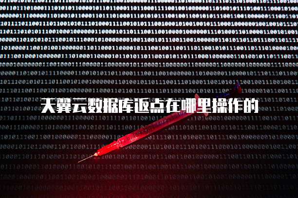 天翼云数据库返点在哪里操作的